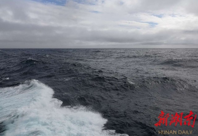 南极梦寻（3）大西洋上的盛宴