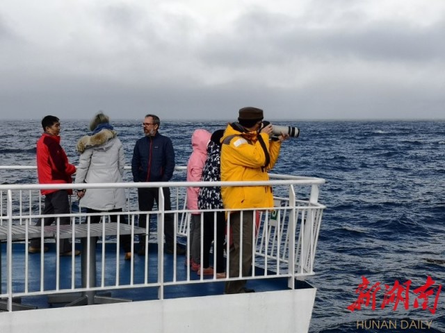 南极梦寻（3）大西洋上的盛宴