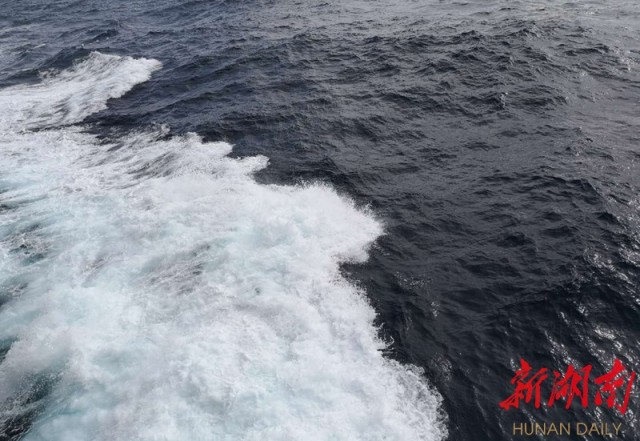 南极梦寻（3）大西洋上的盛宴