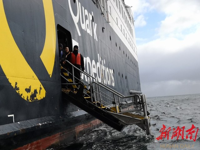 南极梦寻（4）“不要迎接企鹅，要让企鹅迎接你”