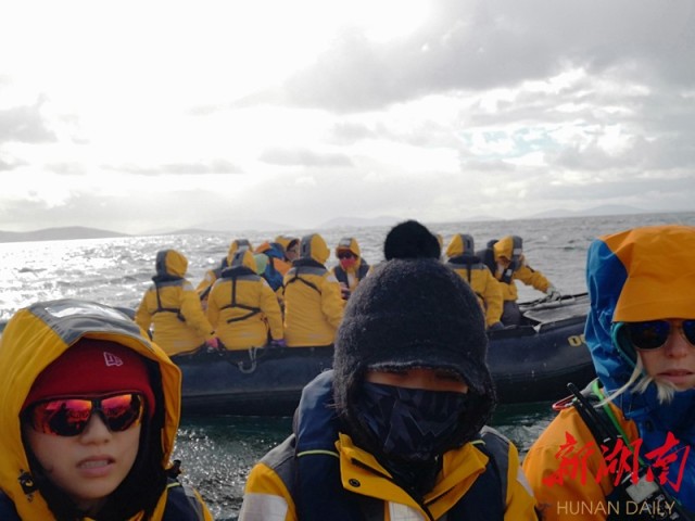 南极梦寻（4）“不要迎接企鹅，要让企鹅迎接你”