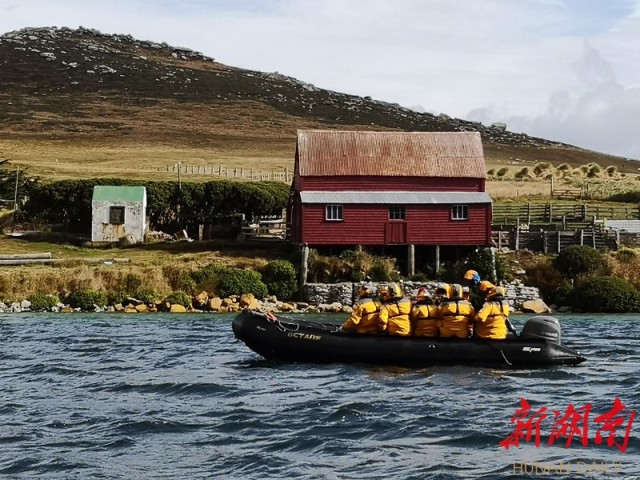 南极梦寻（4）“不要迎接企鹅，要让企鹅迎接你”