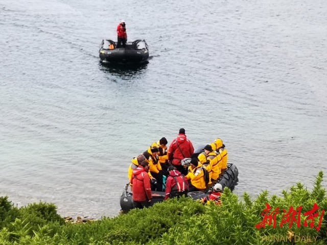 南极梦寻（4）“不要迎接企鹅，要让企鹅迎接你”