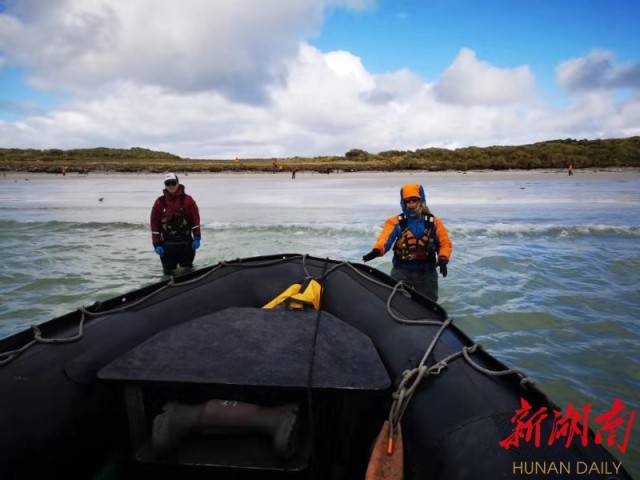 南极梦寻（4）“不要迎接企鹅，要让企鹅迎接你”