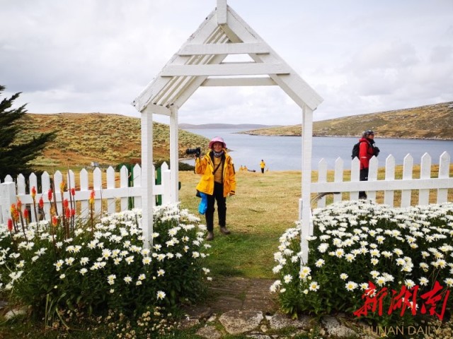 南极梦寻（4）“不要迎接企鹅，要让企鹅迎接你”