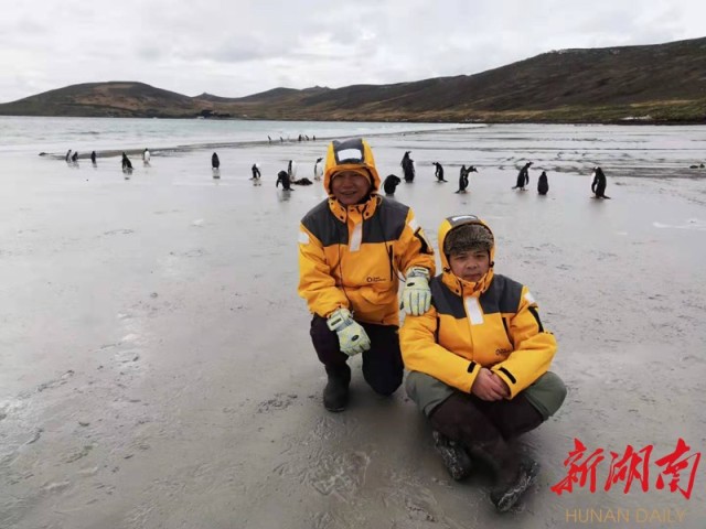 南极梦寻（4）“不要迎接企鹅，要让企鹅迎接你”