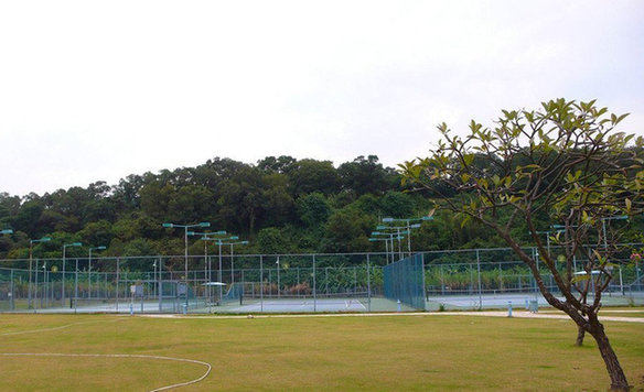 探秘郭晶晶霍启刚婚宴场地 霍家酒店显豪华