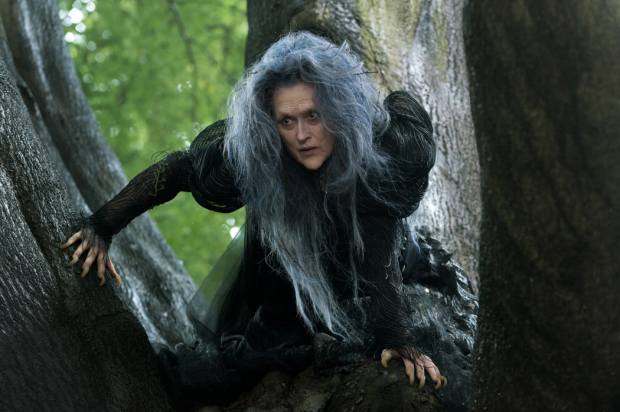 《拜访森林》“梅姨”变身老巫婆