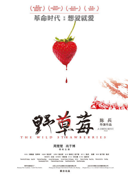 《野草莓》发概念海报 禁恋来得很明媚