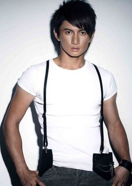 曝2013年明星年收入:吴奇隆吴莫愁均超1亿