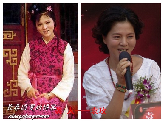 87版红楼梦演员谁变化最大？
