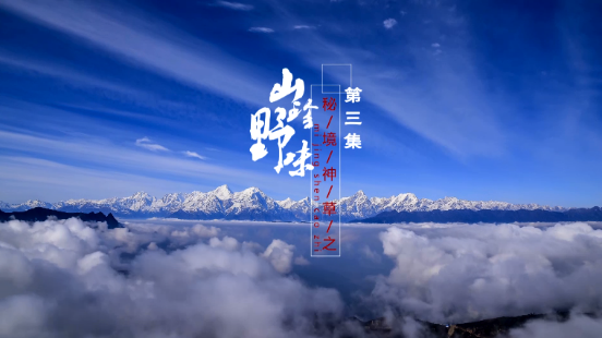《秘境神草》黎族“药王”展现古法黎术　“救命”野菜谱写民族传奇
