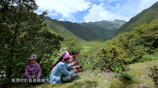 《秘境神草》黎族“药王”展现古法黎术　“救命”野菜谱写民族传奇