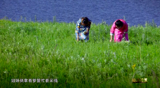 《秘境神草》黎族“药王”展现古法黎术　“救命”野菜谱写民族传奇