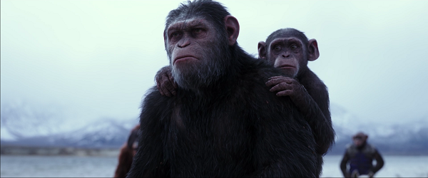《猩球崛起3》票房看涨 激昂怒赞版预告片曝光