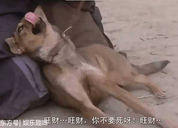 周星驰的8大御用配角：第一名居然无台词就红遍全球
