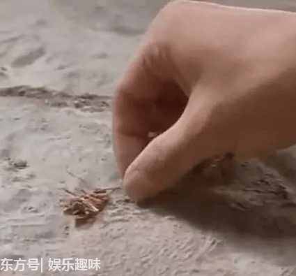 周星驰的8大御用配角：第一名居然无台词就红遍全球