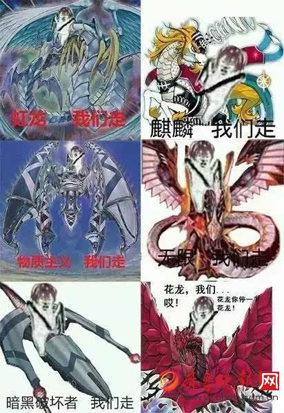 皮皮虾是什么梗 皮皮虾表情包为什么火 各种表情包下载