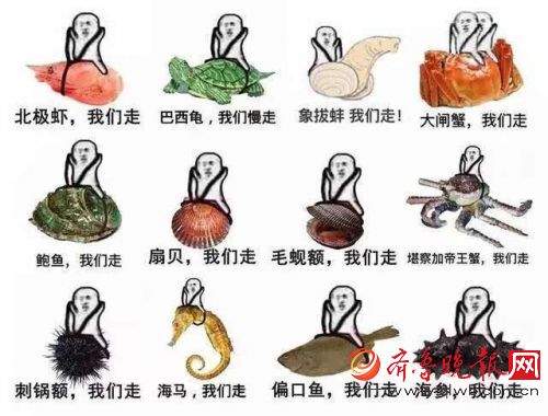 皮皮虾是什么梗 皮皮虾表情包为什么火 各种表情包下载