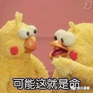 比她放浪形骸的多了为啥崔雪莉放飞自我就有错？或许只是因为长得太清纯