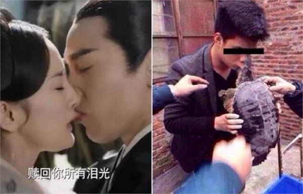 赵薇两个字神点评赵又廷杨幂吻戏 一半网友被这张照片笑疯