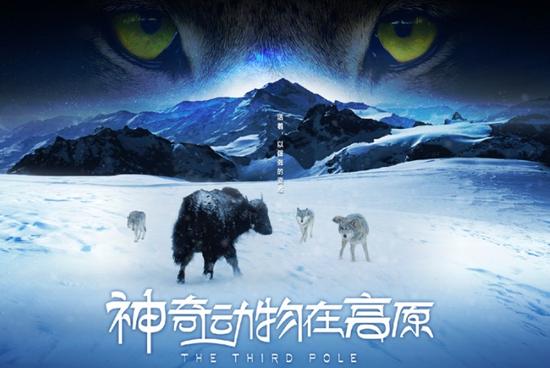 《神奇动物在高原》亮相纪录片节 概念海报首曝光