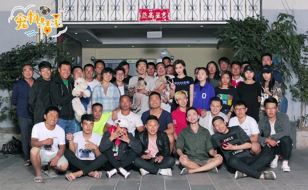 《宠物情圣之谁说只身即是狗》收场 萌宠翻身作念“爱情导师”
