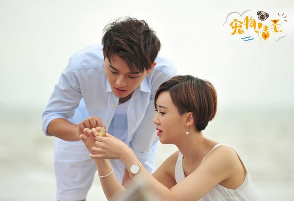 《宠物情圣之谁说只身即是狗》收场 萌宠翻身作念“爱情导师”