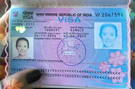 章子怡晒印度签证照片清秀 网友：最美证件照