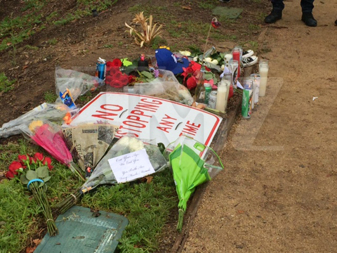 保罗-沃克去世一周年 群星悼念影迷献花