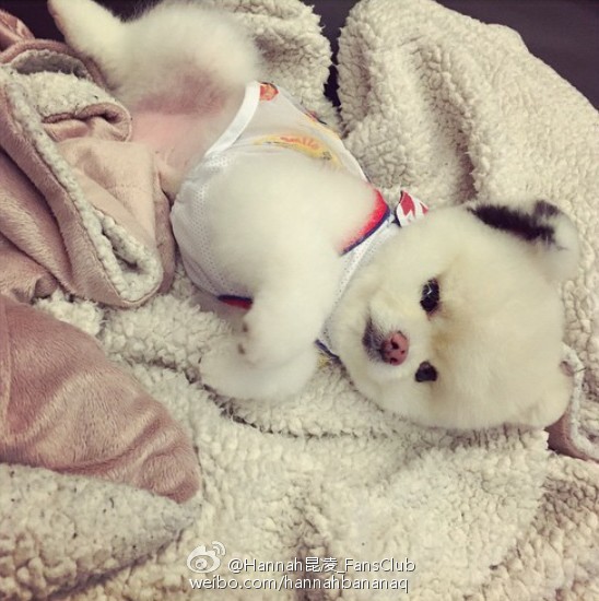 昆凌不管老公带爱犬和闺蜜聚会