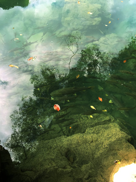 冬季旅游:脱掉貂皮袄 到黔南的艳阳里露腰