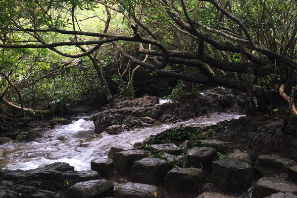 冬季旅游:脱掉貂皮袄 到黔南的艳阳里露腰