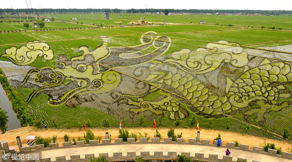 稻田也能玩花样 12幅巨型3D稻田画亮相沈阳稻梦空间