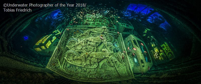 2018水下摄影大赛:探寻海洋的神秘与乐趣