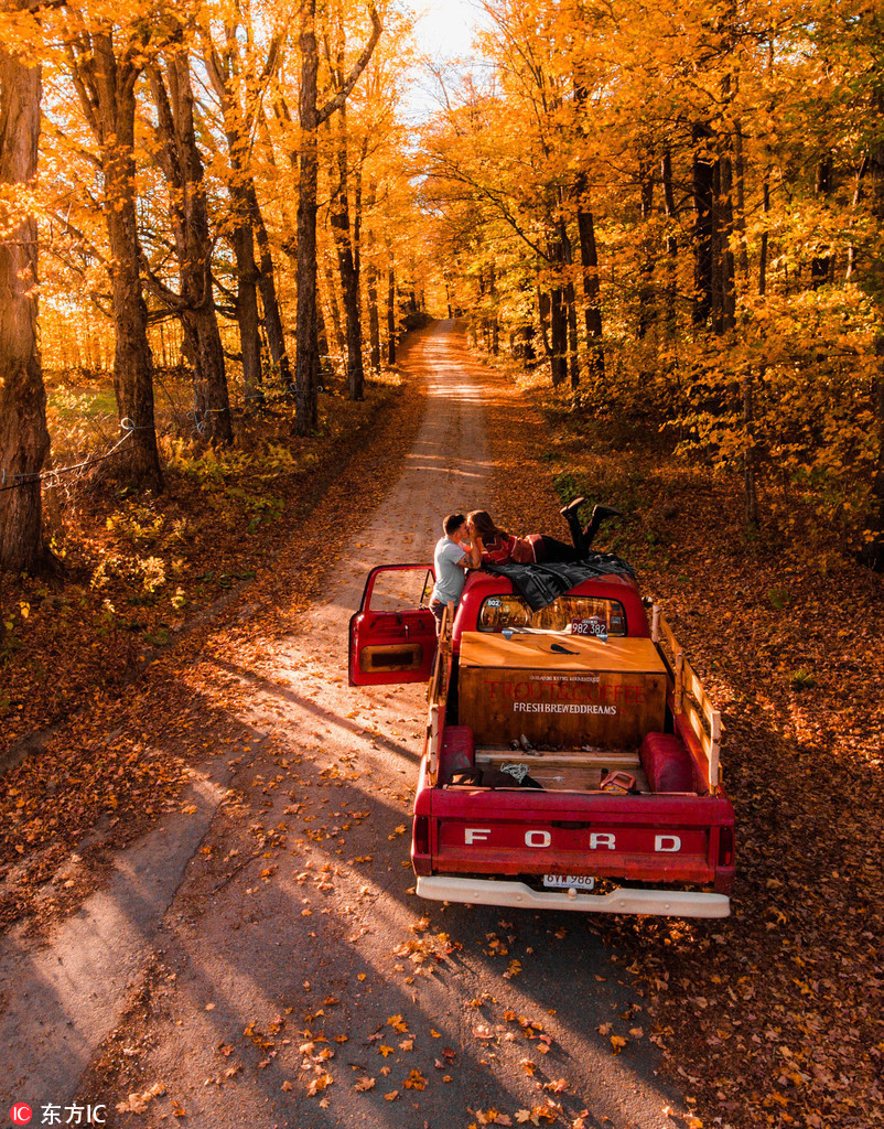 秋天的童话!美国摄影师航拍晚秋森林 层林尽染