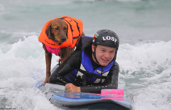 美国服务犬带残疾人冲浪 感受海上滑行的乐趣